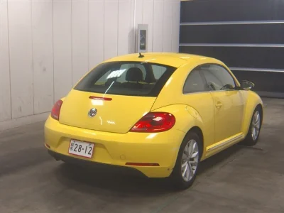 VOLKSWAGEN THE BEETLE