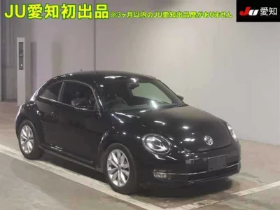VOLKSWAGEN THE BEETLE