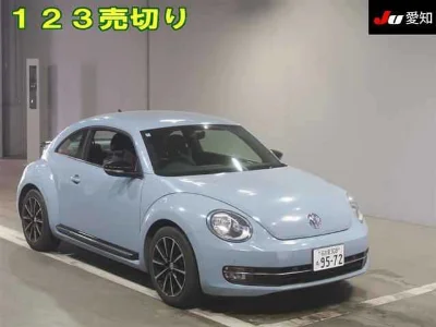 VOLKSWAGEN THE BEETLE