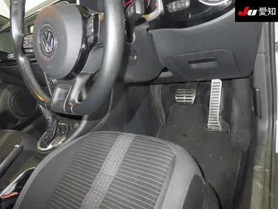 VOLKSWAGEN THE BEETLE