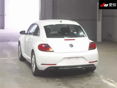 VOLKSWAGEN THE BEETLE