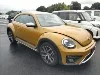 VOLKSWAGEN THE BEETLE