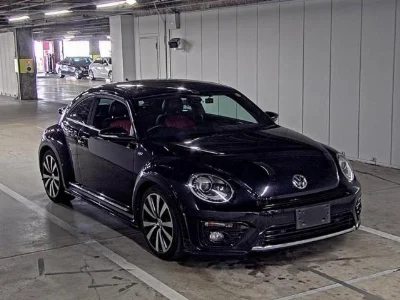 VOLKSWAGEN THE BEETLE