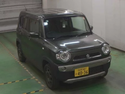 SUZUKI HUSTLER