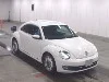 VOLKSWAGEN THE BEETLE