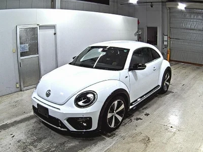 VOLKSWAGEN THE BEETLE