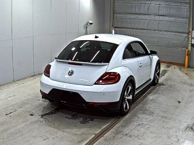 VOLKSWAGEN THE BEETLE