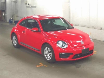 VOLKSWAGEN THE BEETLE