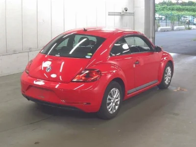 VOLKSWAGEN THE BEETLE