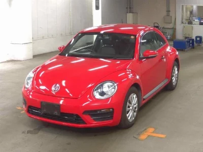 VOLKSWAGEN THE BEETLE