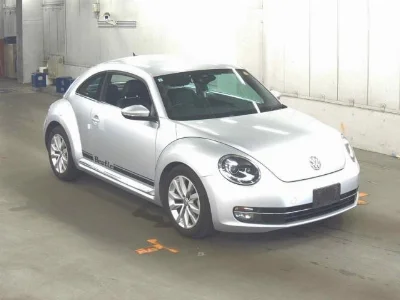 VOLKSWAGEN THE BEETLE