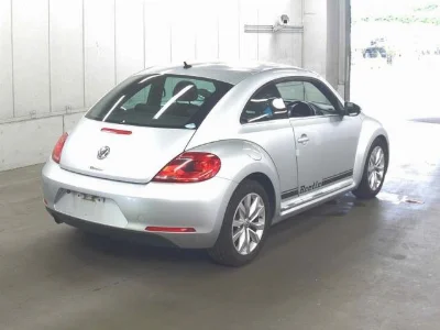 VOLKSWAGEN THE BEETLE