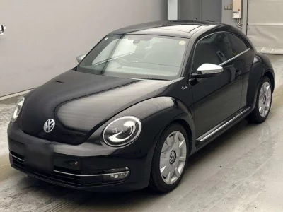 VOLKSWAGEN THE BEETLE