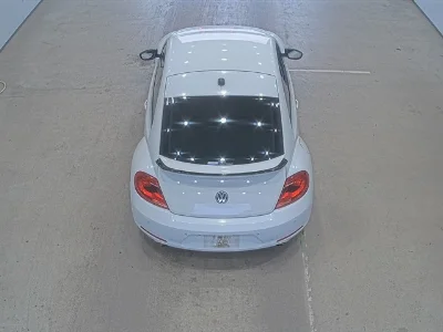 VOLKSWAGEN THE BEETLE