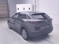Цена авто Mazda CX-30 с аукционов Японии, номер кузова DM8P, пробег 88 000, оценка 3