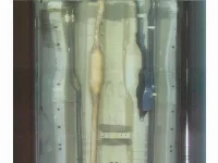 Цена авто Suzuki Spacia с аукционов Японии, номер кузова MK42S, пробег 126 000, оценка 8