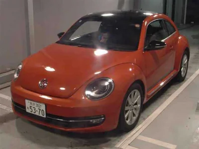 VOLKSWAGEN THE BEETLE