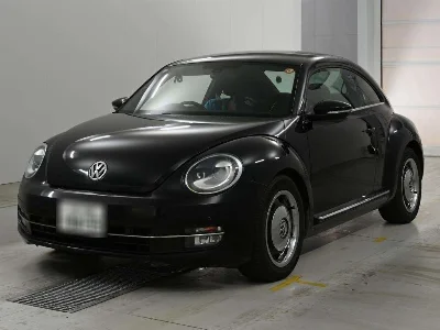 VOLKSWAGEN THE BEETLE