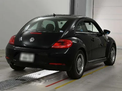 VOLKSWAGEN THE BEETLE