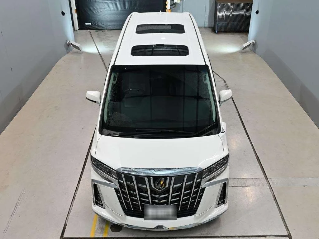 Toyota Alphard 2.5S C Package, миниатюра 7