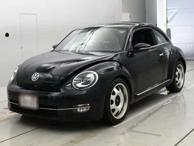 VOLKSWAGEN THE BEETLE