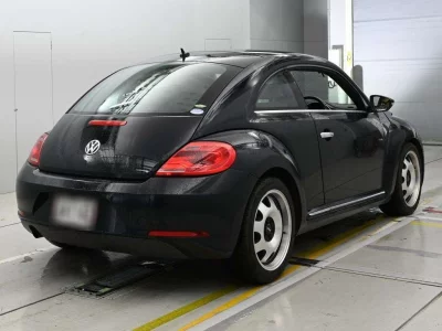 VOLKSWAGEN THE BEETLE