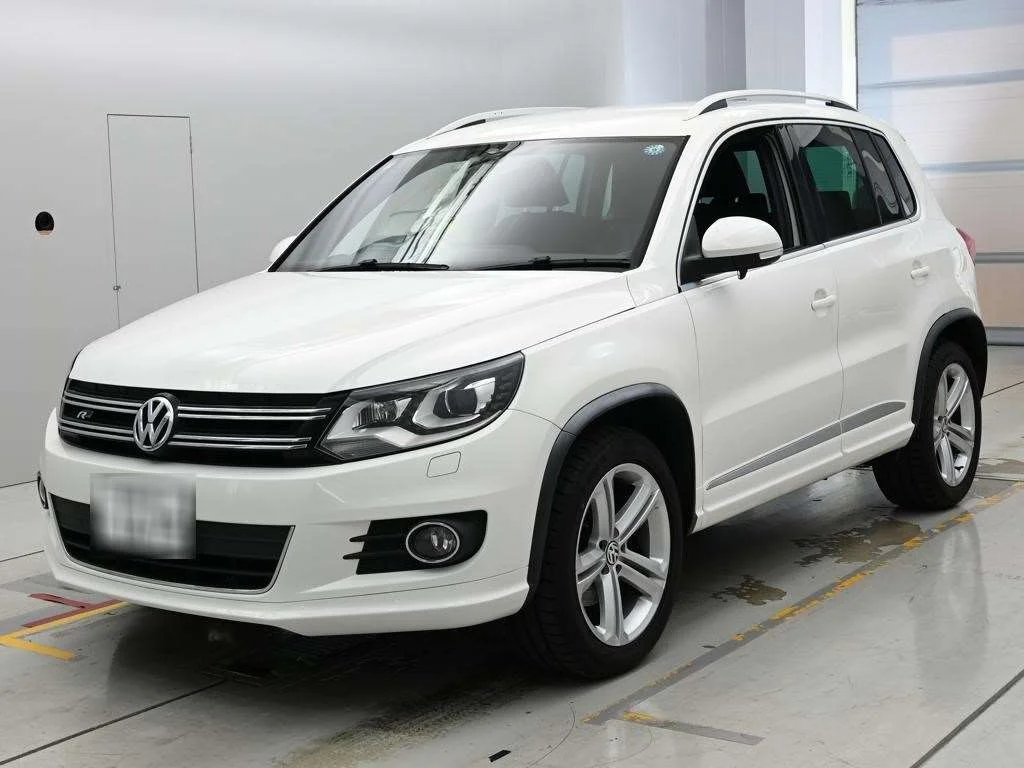 Volkswagen Tiguan TSI BMOSHON TECHNO ROSIR LINE P, миниатюра 5