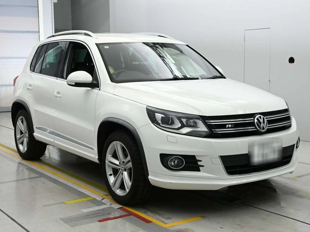 Volkswagen Tiguan TSI BMOSHON TECHNO ROSIR LINE P, миниатюра 4