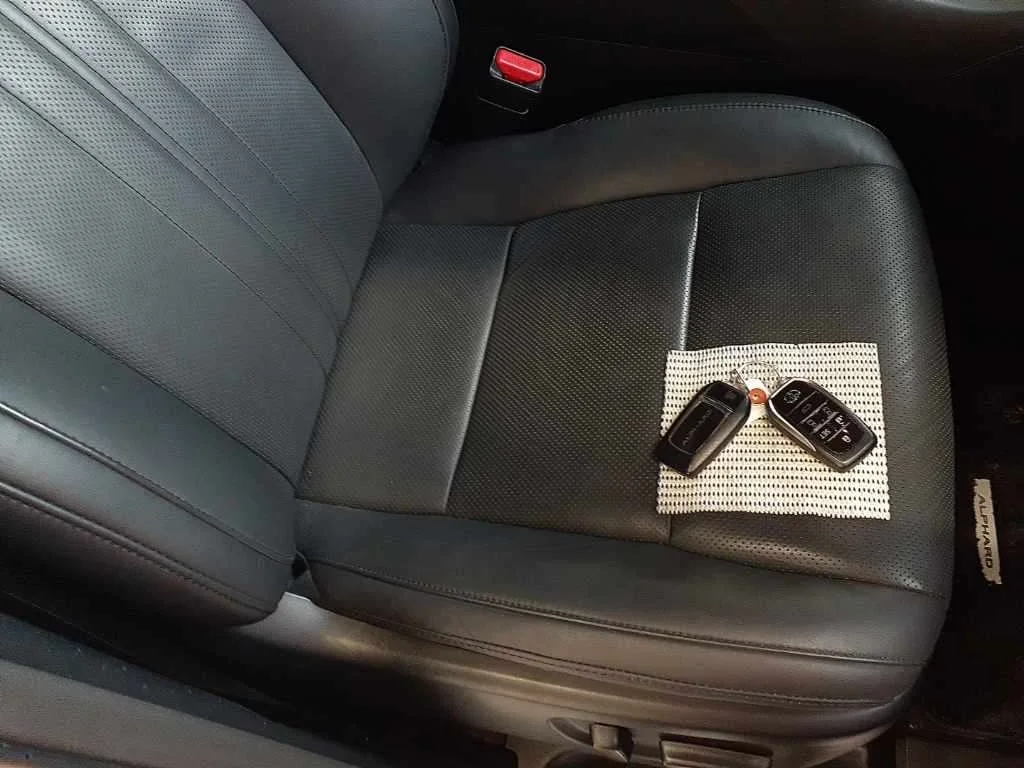 Toyota Alphard EXECUTIVE LOUNGE S 4WD, миниатюра 10