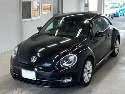 VOLKSWAGEN THE BEETLE
