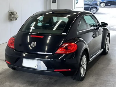 VOLKSWAGEN THE BEETLE