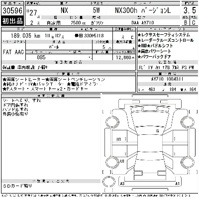 Lexus NX300h