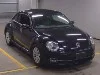VOLKSWAGEN THE BEETLE