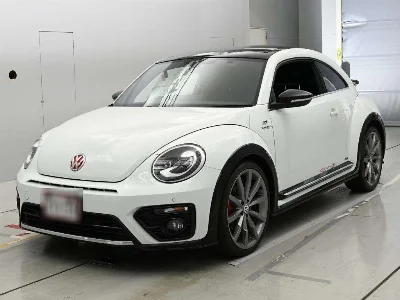 VOLKSWAGEN THE BEETLE
