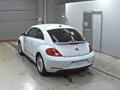 VOLKSWAGEN THE BEETLE