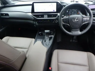 Lexus UX250h