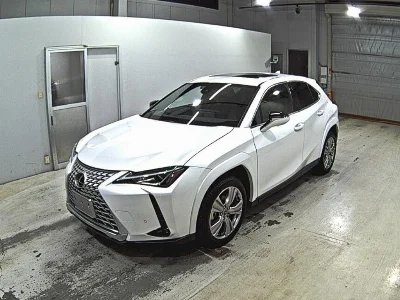 Lexus UX250h