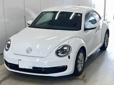 VOLKSWAGEN THE BEETLE