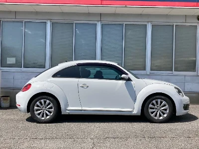 VOLKSWAGEN THE BEETLE