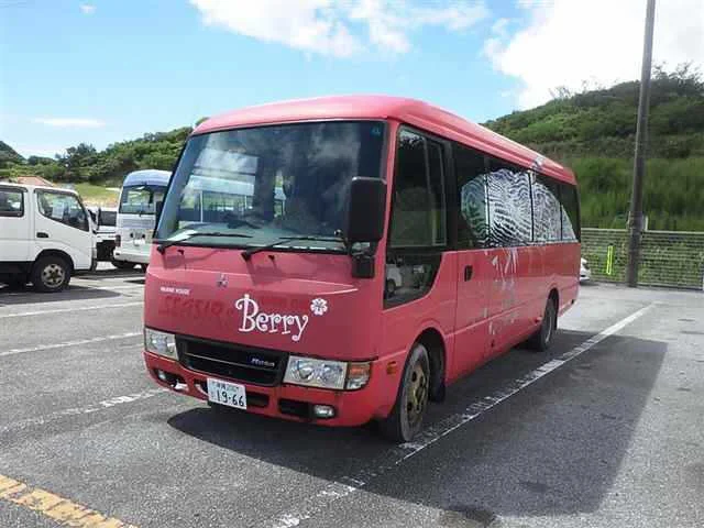 Mitsubishi FUSO ROSA, миниатюра 4
