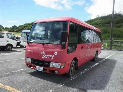 Mitsubishi FUSO ROSA