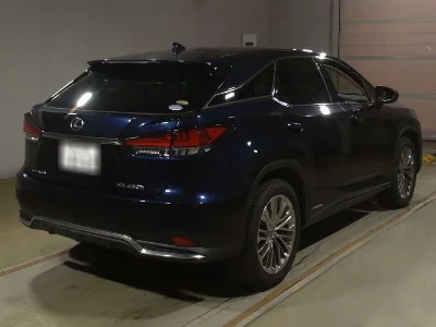 LEXUS RX