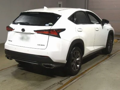 LEXUS NX