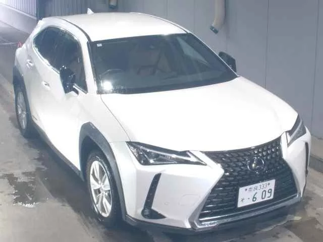 Lexus UX250h 2020