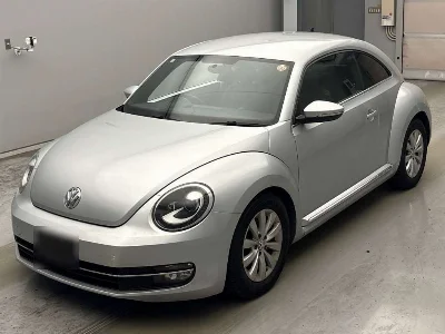 VOLKSWAGEN THE BEETLE