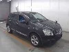 NISSAN DUALIS
