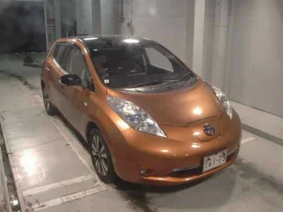 NISSAN LEAF