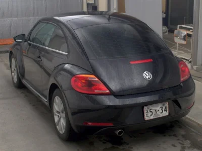 VOLKSWAGEN THE BEETLE