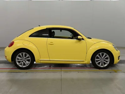 VOLKSWAGEN THE BEETLE