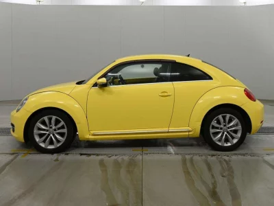 VOLKSWAGEN THE BEETLE